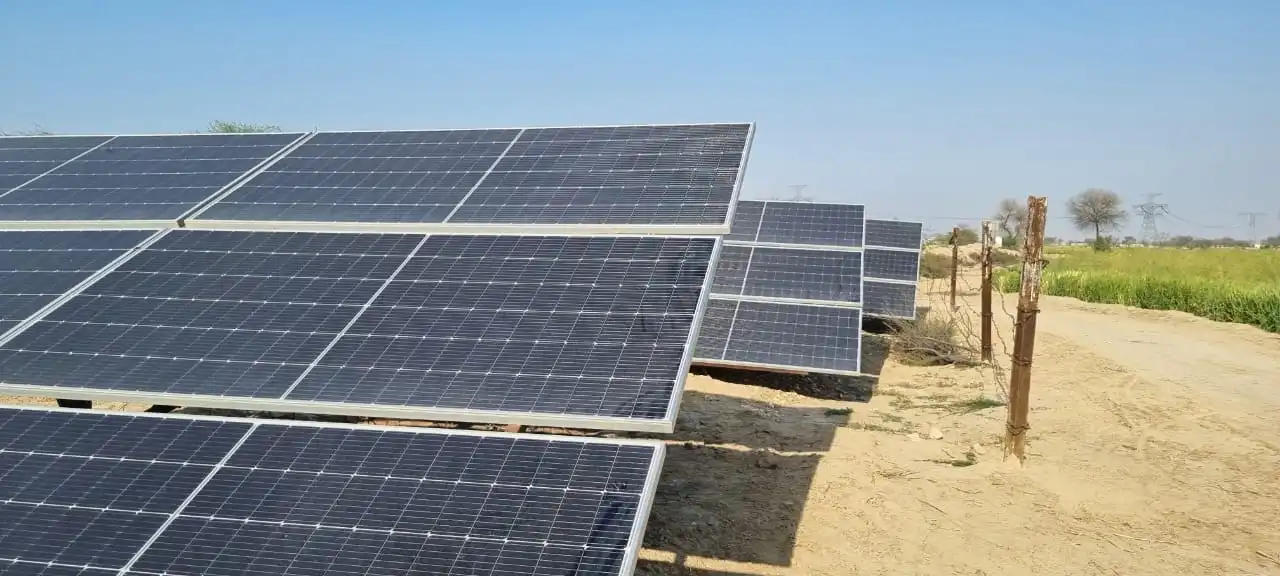 Solar Panels in Agriculture